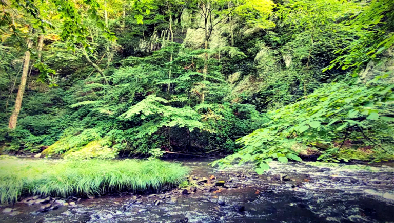 Image from Kilber Valley run from Dan Riverkeeper
