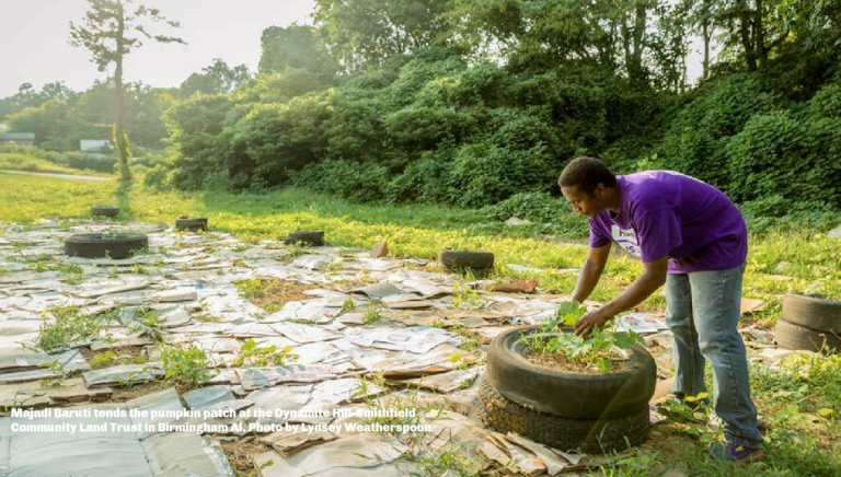 Majadi Baruti tends the pumpkin patch at the Dynamite Hill-Smithfield Community Land Trust in Birmingham Ala on August 10_Photo by Lynsey Weatherspoon